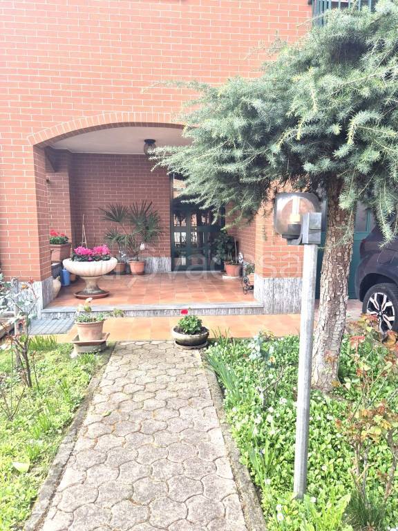 immagine annuncio 6 di 15