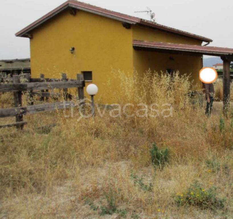 immagine annuncio 3 di 11