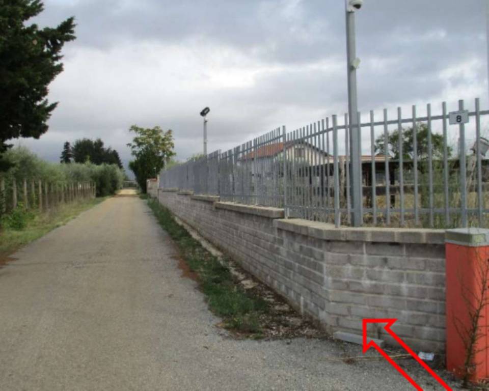 immagine annuncio 4 di 11