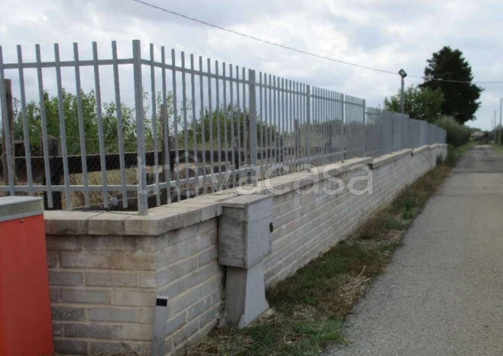 immagine annuncio 5 di 11