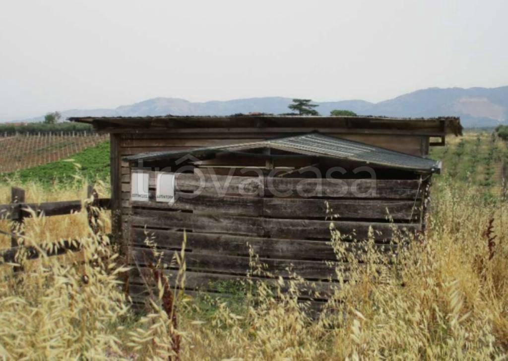 immagine annuncio 6 di 11