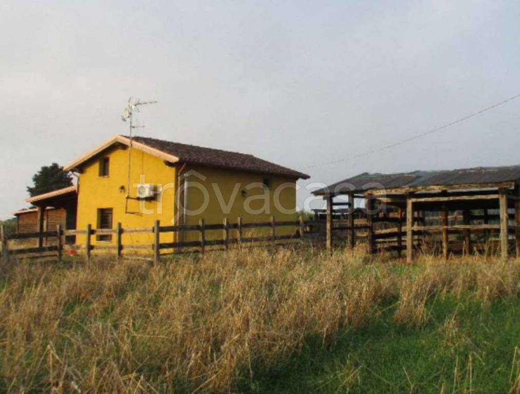 immagine annuncio 7 di 11