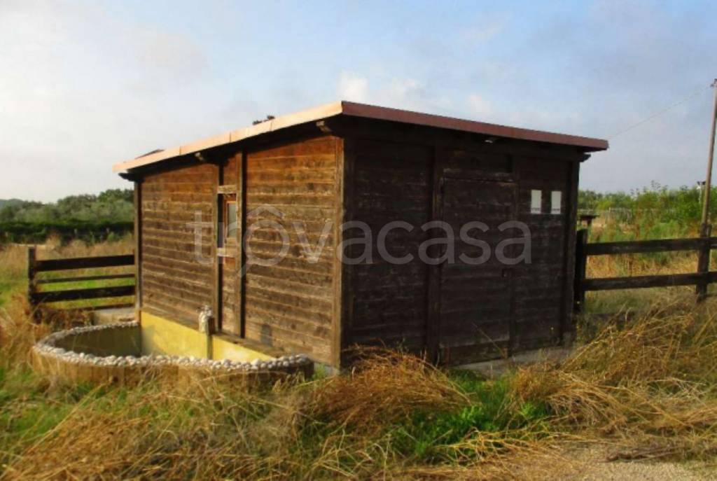 immagine annuncio 10 di 11