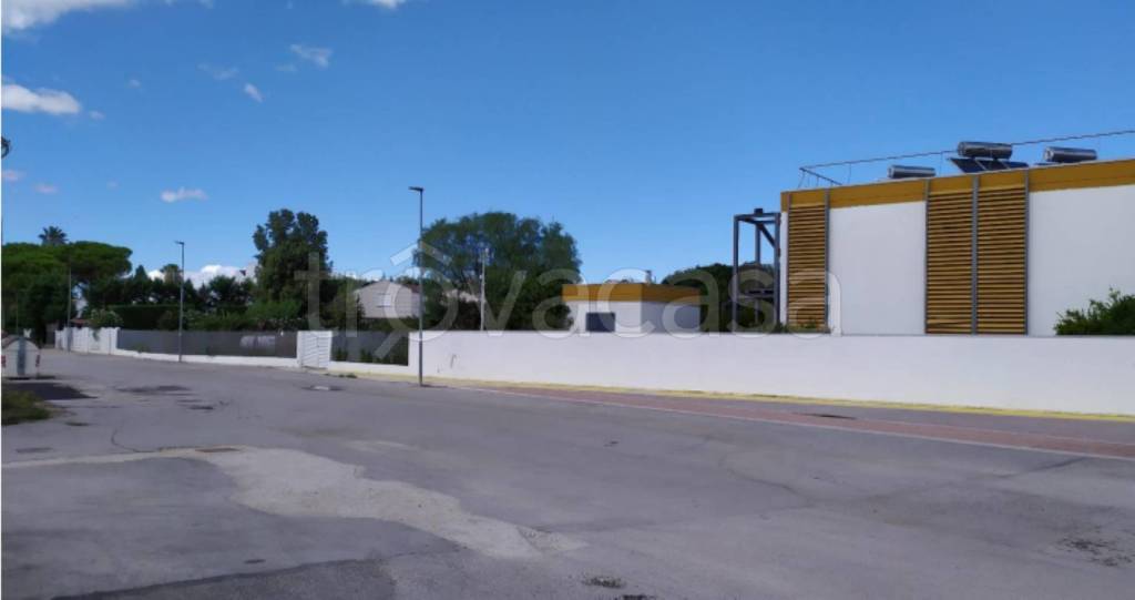 immagine annuncio 4 di 11