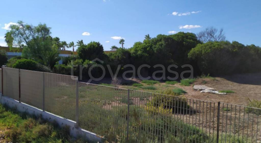 immagine annuncio 6 di 11