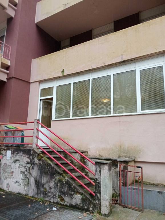 immagine annuncio 11 di 12