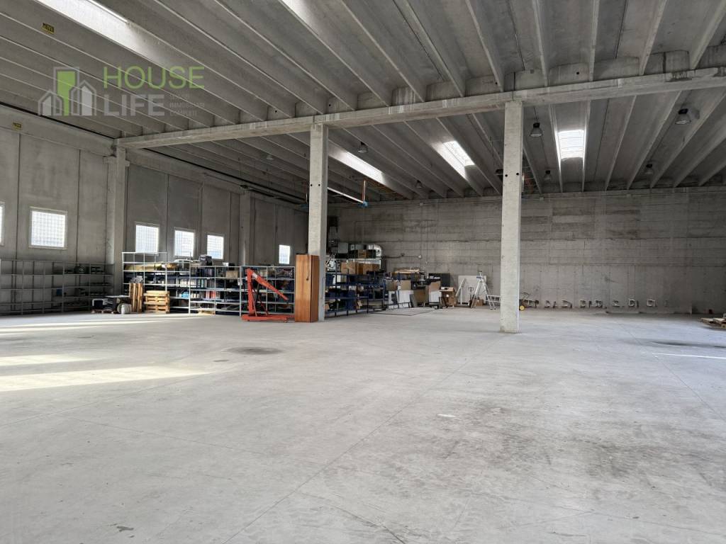 immagine annuncio 3 di 11