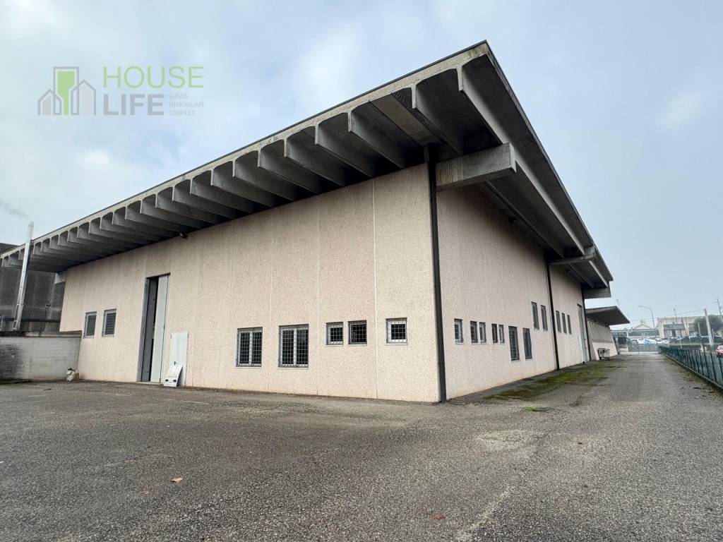 immagine annuncio 4 di 11