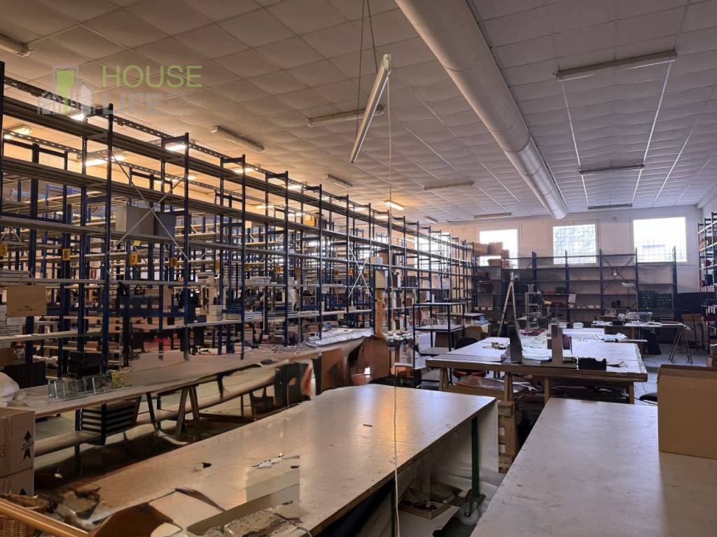 immagine annuncio 6 di 11