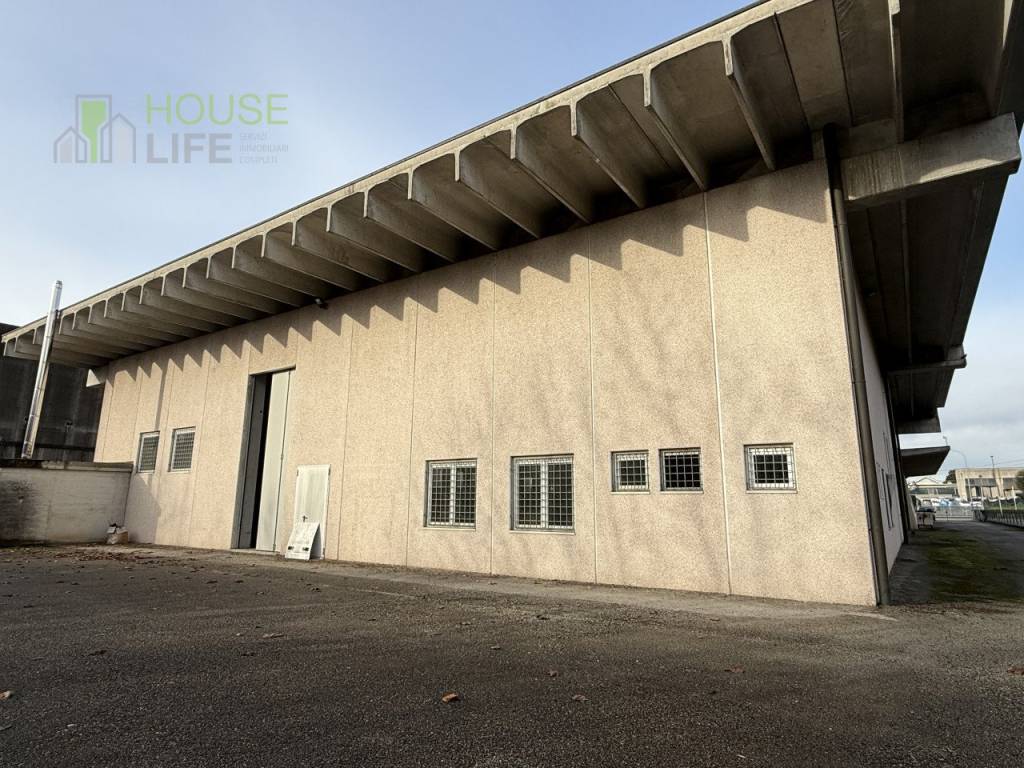 immagine annuncio 7 di 11