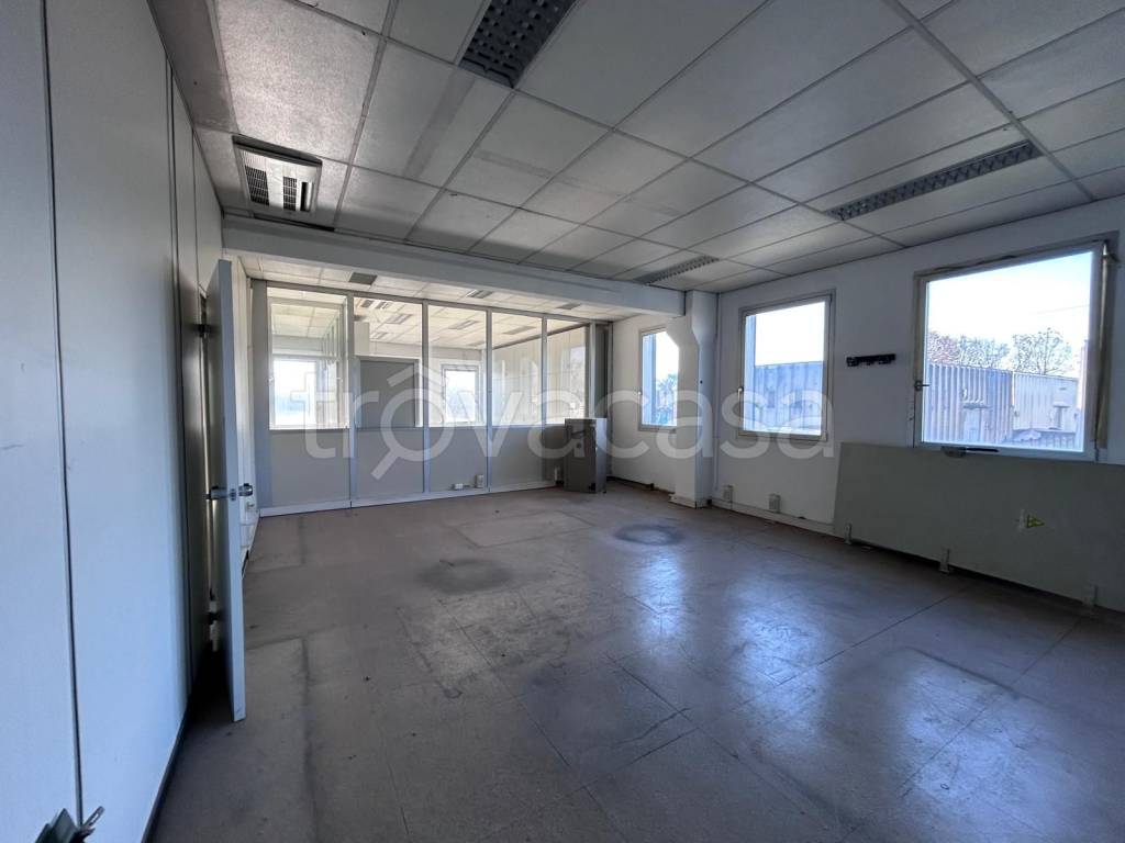 immagine annuncio 4 di 14