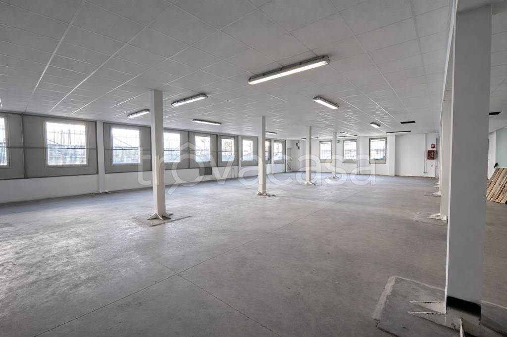 immagine annuncio 2 di 14