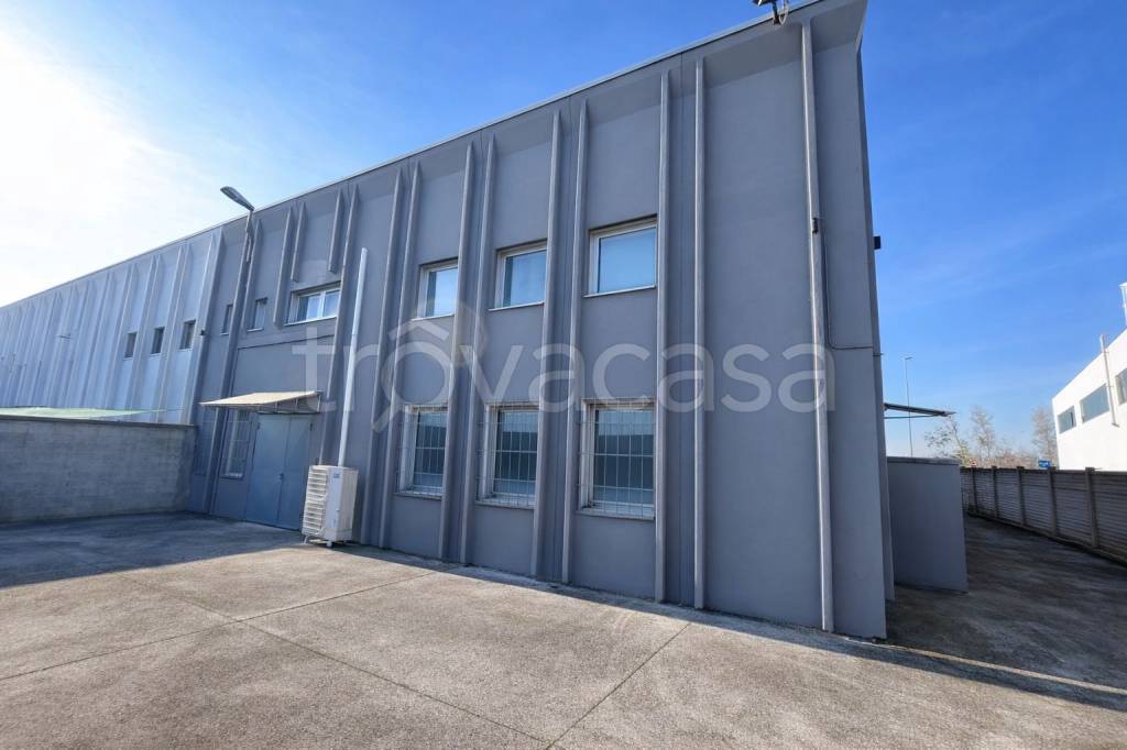 immagine annuncio 1 di 14