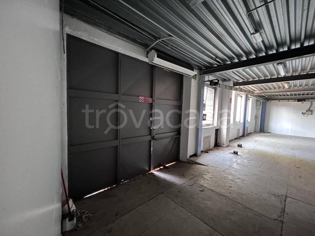 immagine annuncio 5 di 14