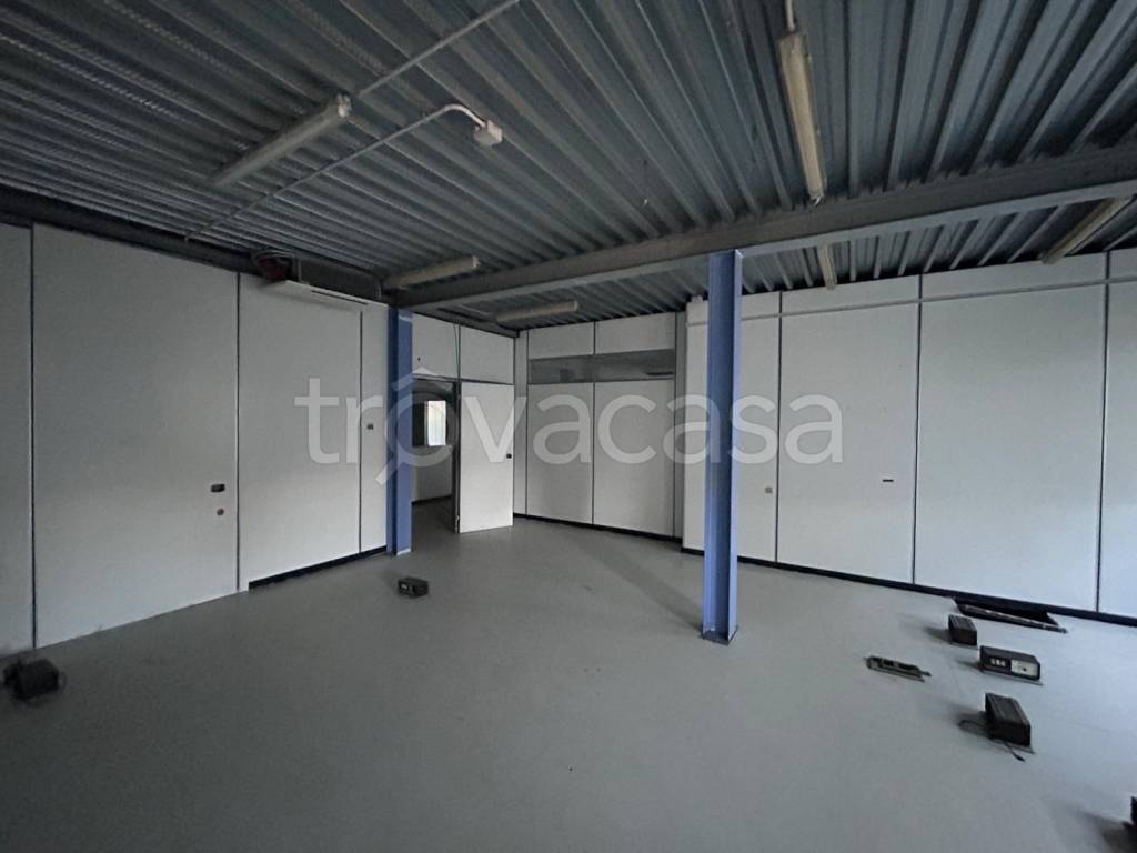 immagine annuncio 7 di 14