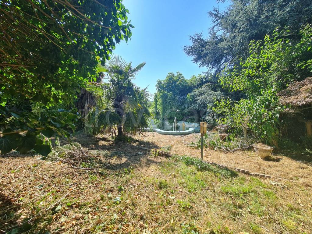 immagine annuncio 1 di 13