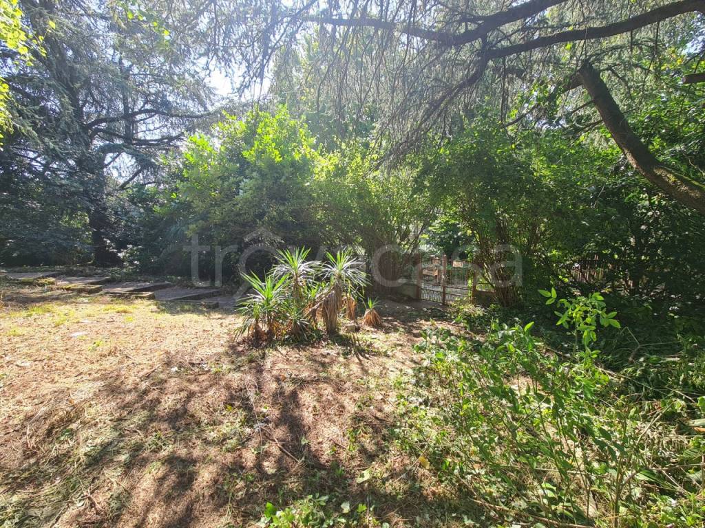 immagine annuncio 6 di 13