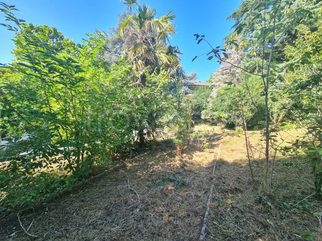 immagine annuncio 7 di 13