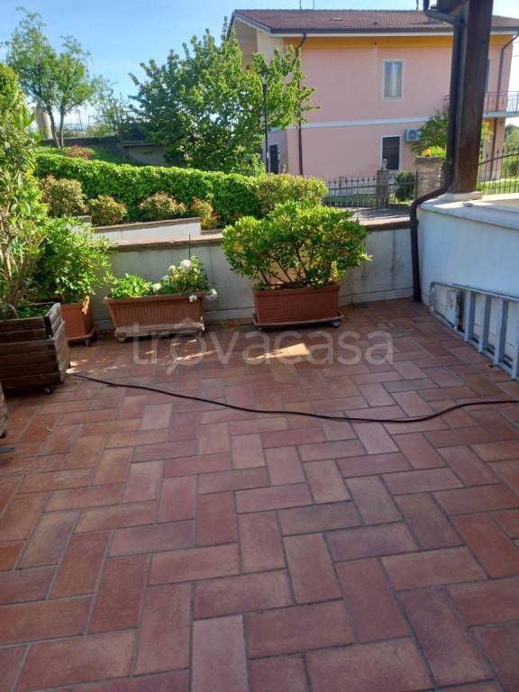 immagine annuncio 10 di 15