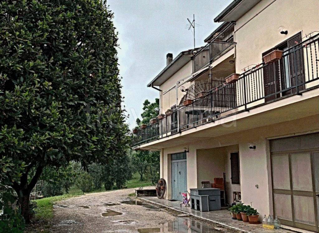 immagine annuncio 8 di 13