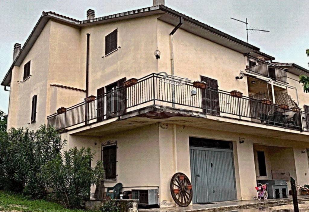 immagine annuncio 9 di 13