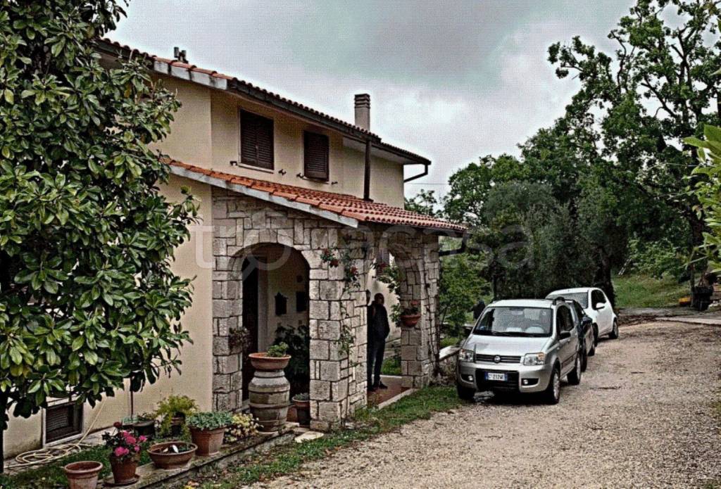 immagine annuncio 11 di 13