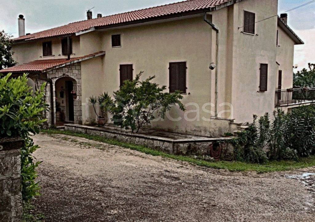 immagine annuncio 12 di 13