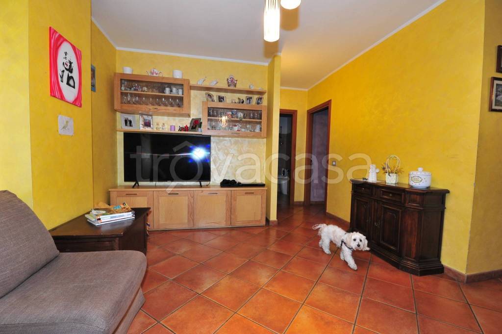 immagine annuncio 12 di 15