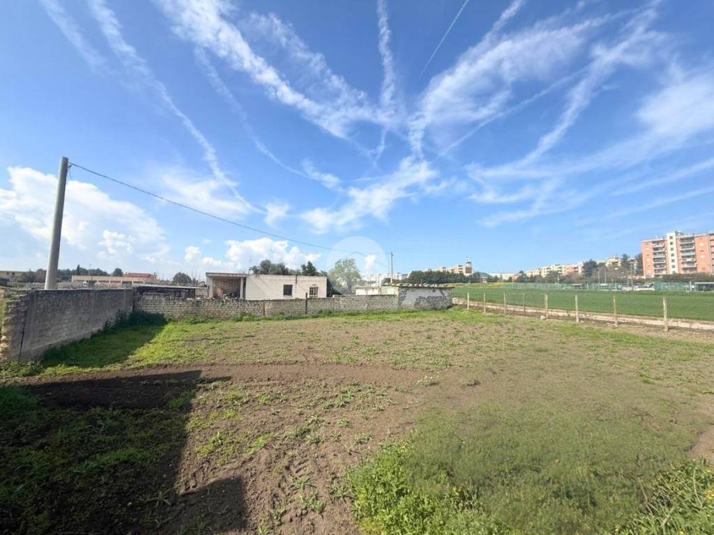 immagine annuncio 10 di 12