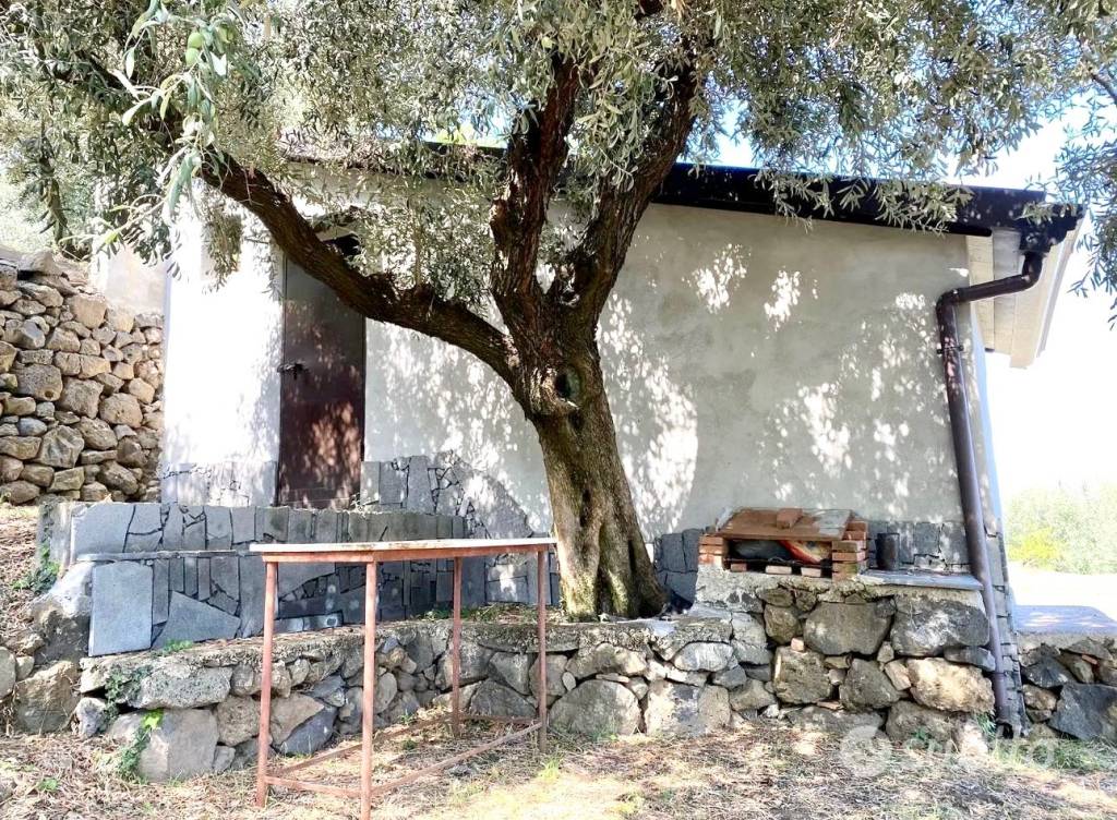 immagine annuncio 1 di 8