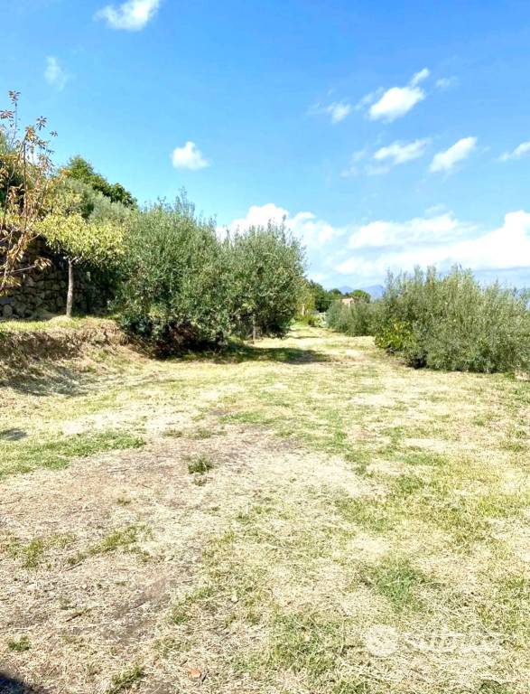 immagine annuncio 5 di 8