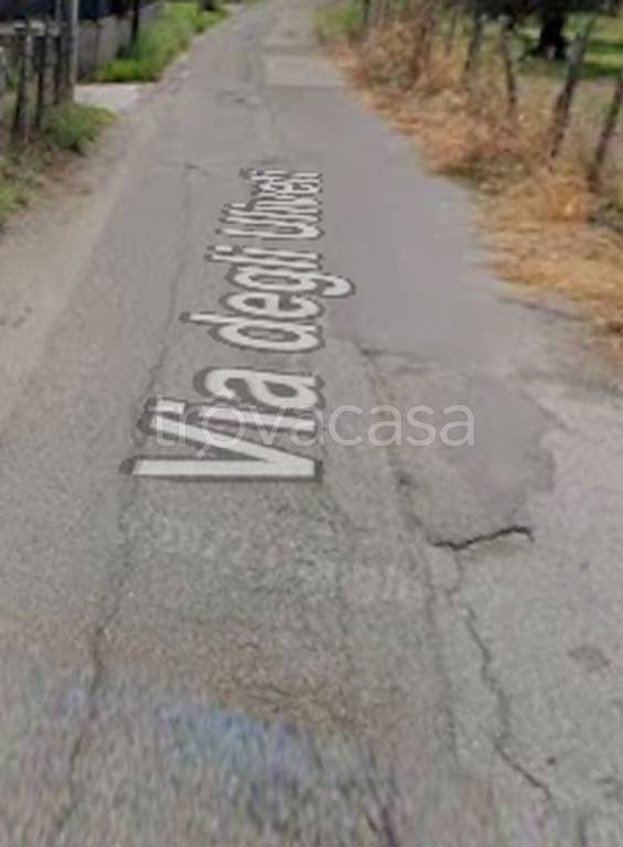 immagine annuncio 3 di 11