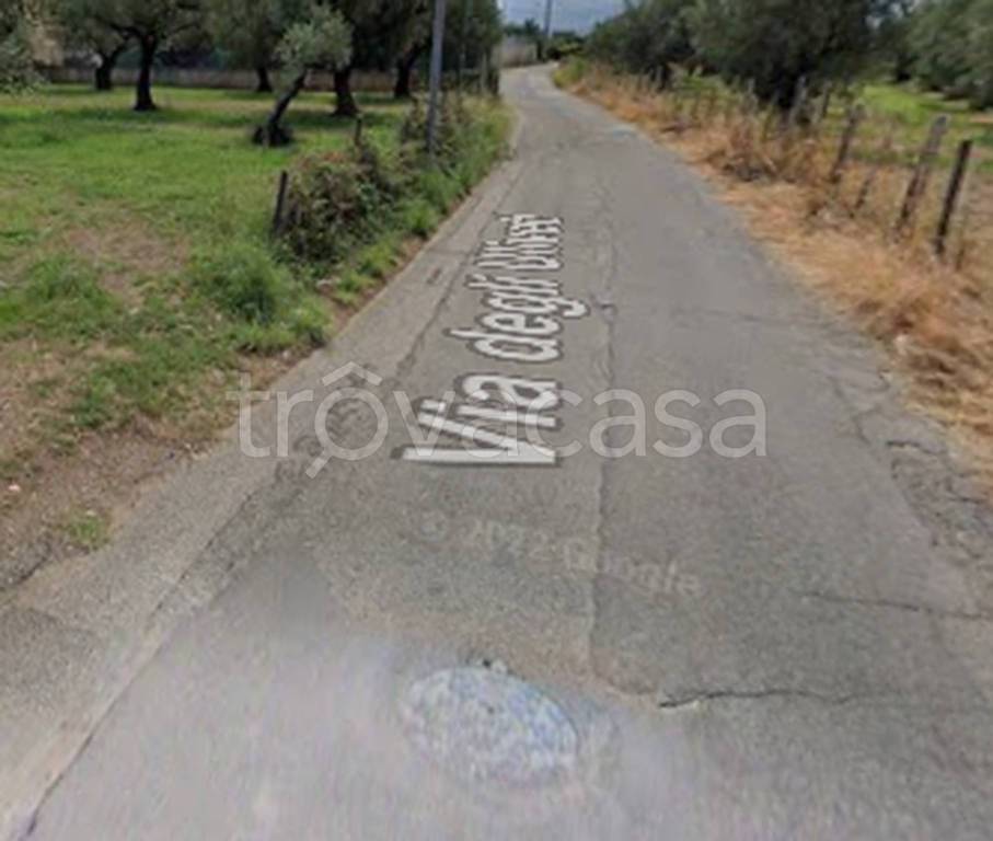 immagine annuncio 6 di 11