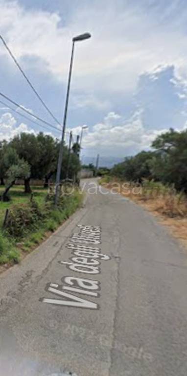 immagine annuncio 7 di 11