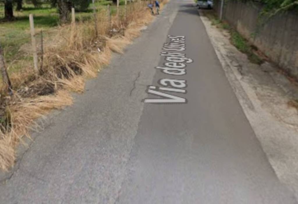 immagine annuncio 10 di 11