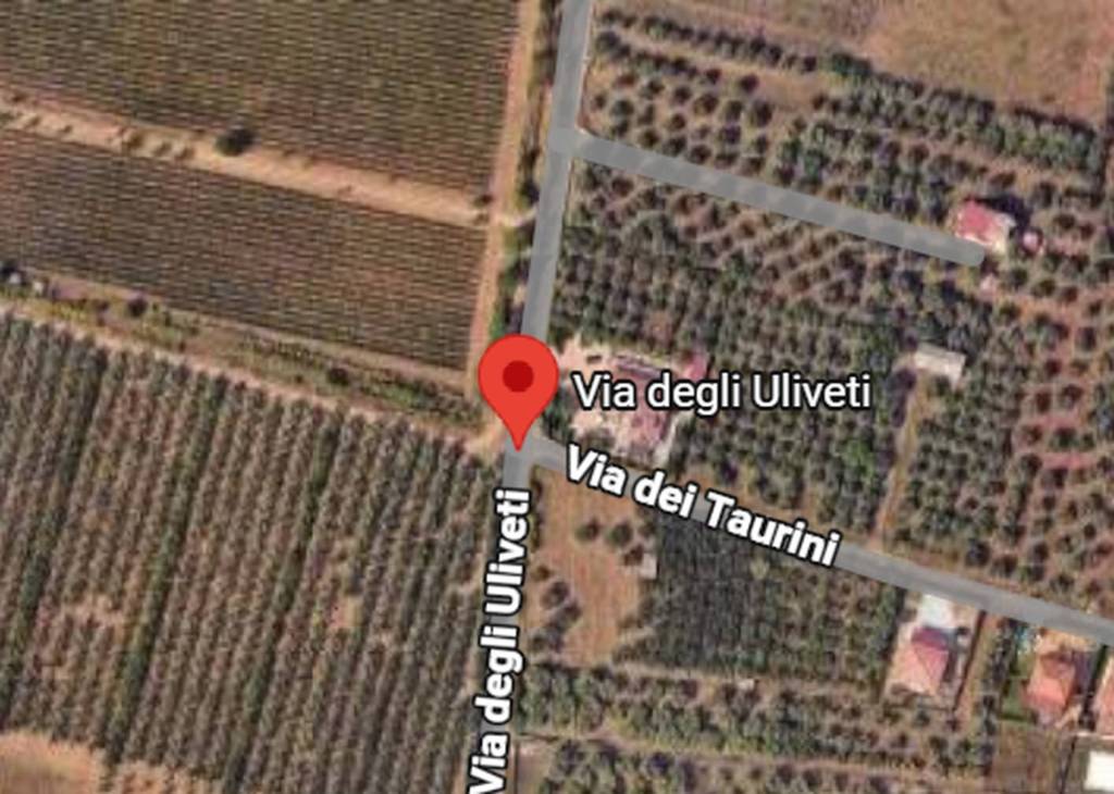 immagine annuncio 3 di 11