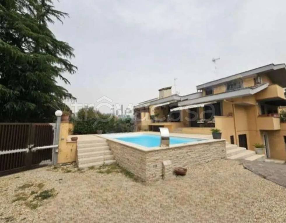 immagine annuncio 2 di 7