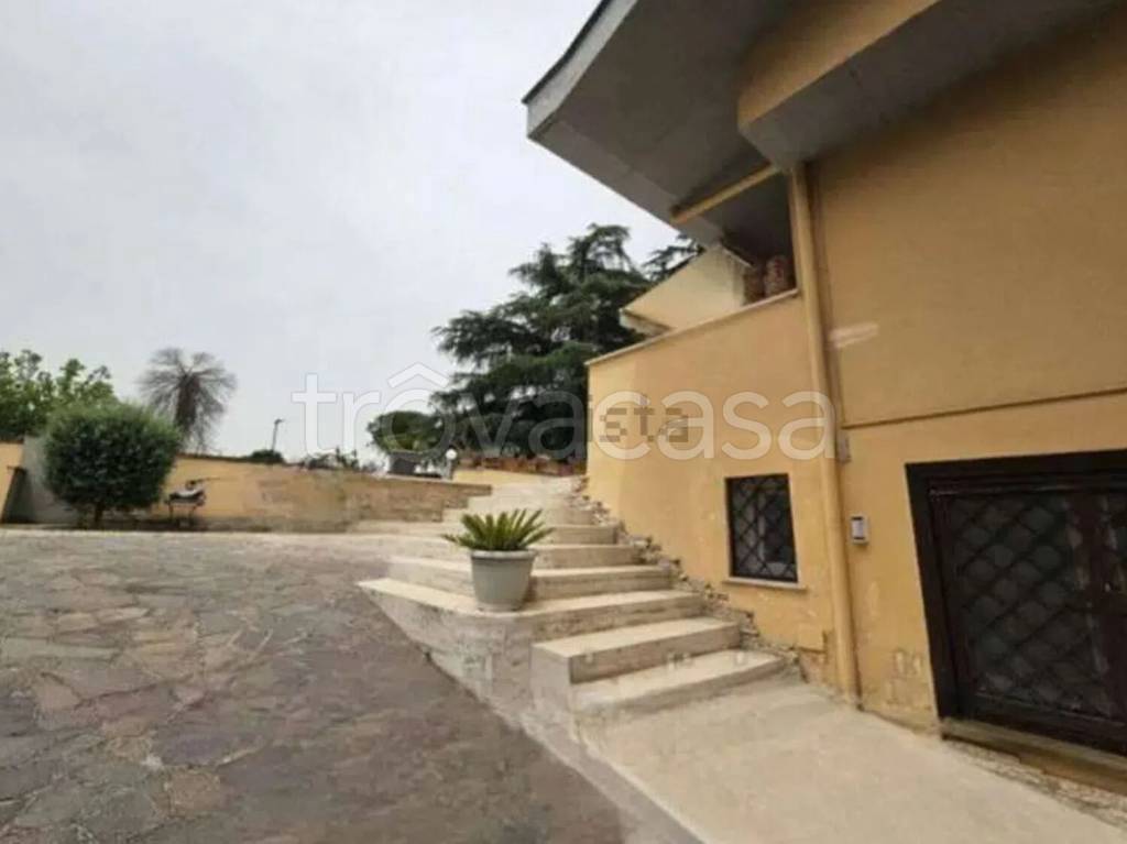 immagine annuncio 4 di 7