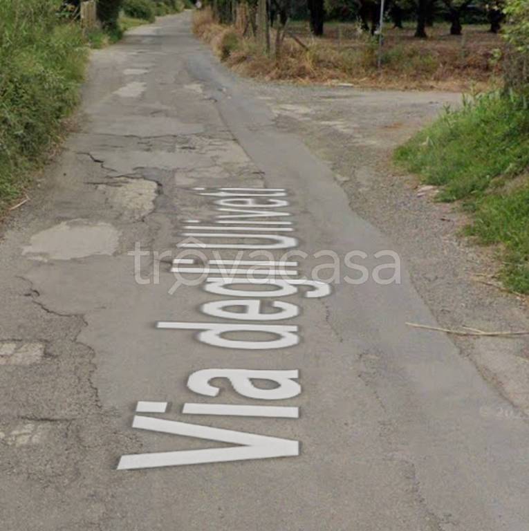 immagine annuncio 6 di 11