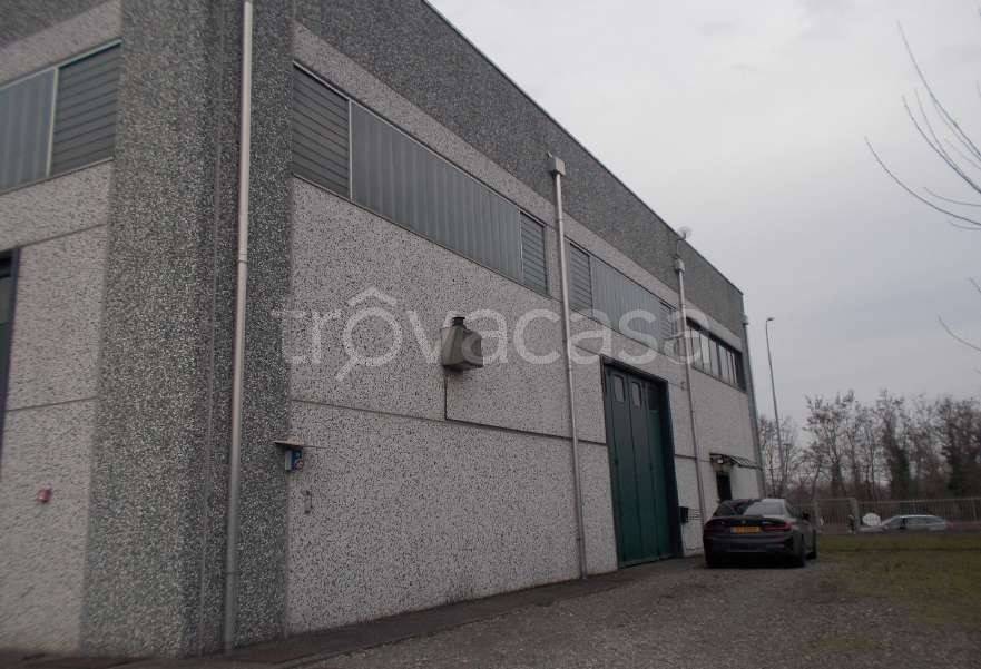 immagine annuncio 3 di 14