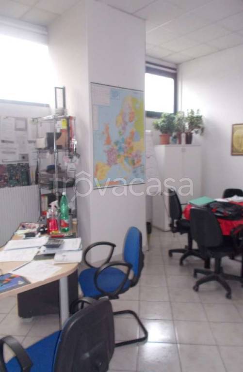 immagine annuncio 4 di 14