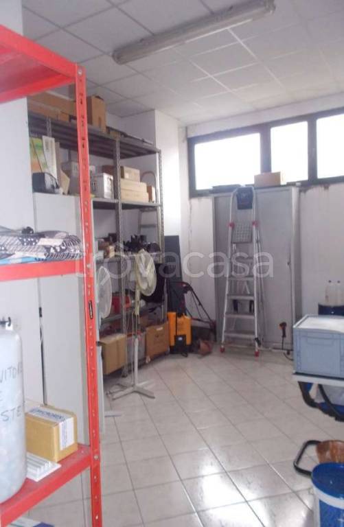 immagine annuncio 6 di 14