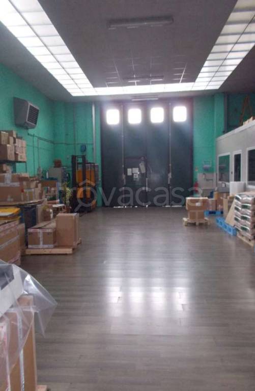 immagine annuncio 8 di 14