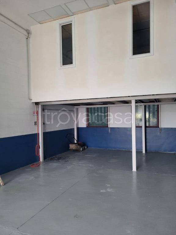 immagine annuncio 2 di 13