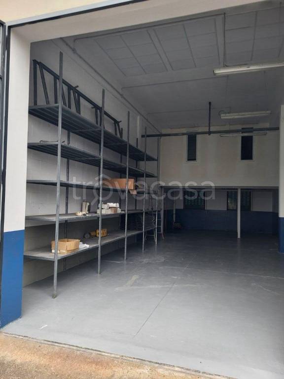 immagine annuncio 3 di 13