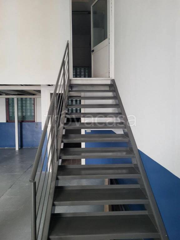 immagine annuncio 6 di 13