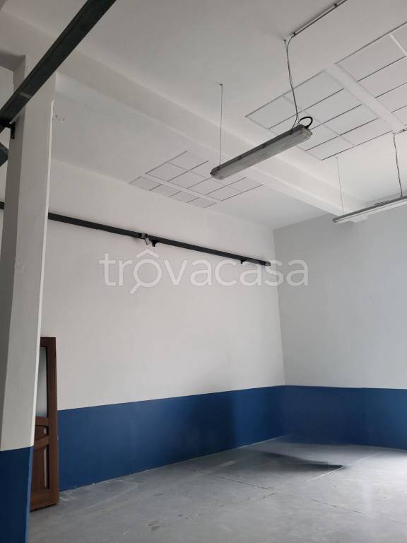 immagine annuncio 11 di 13