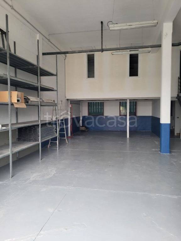 immagine annuncio 12 di 13