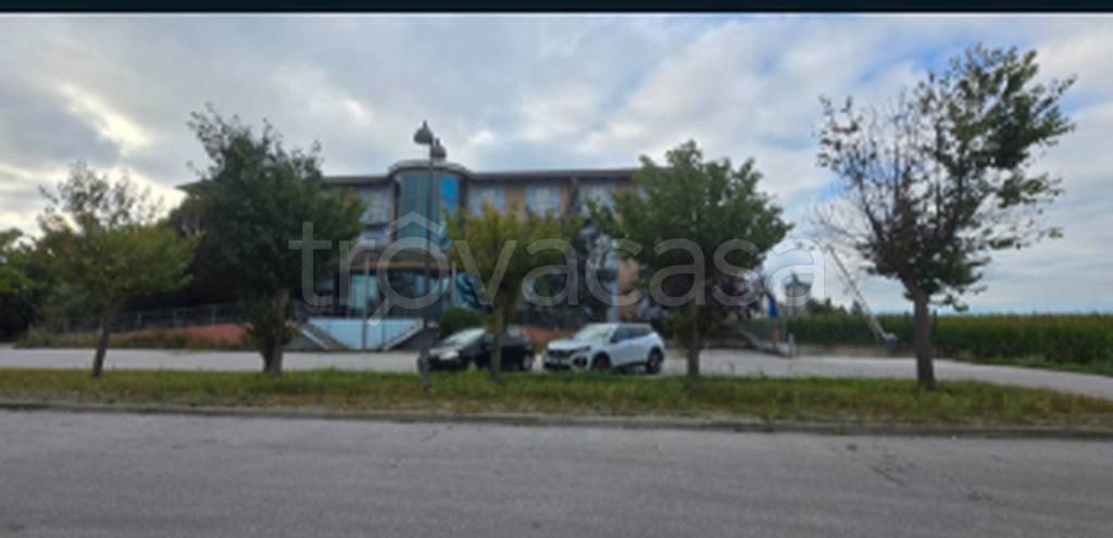 immagine annuncio 8 di 11