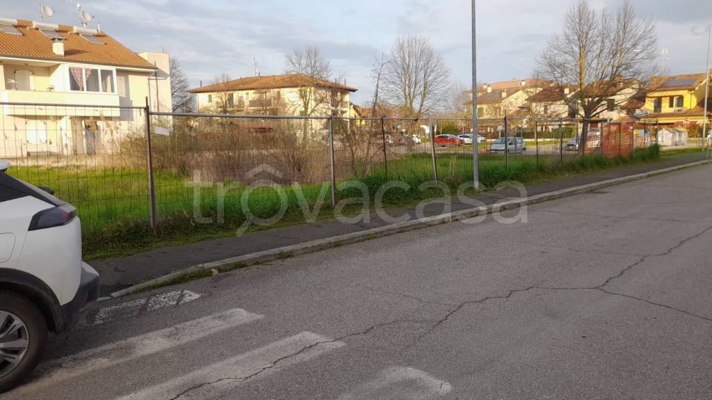 immagine annuncio 3 di 7